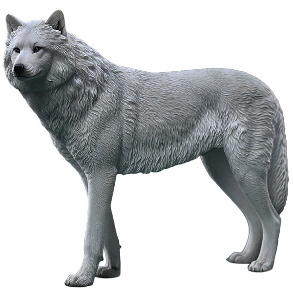 AmiAmi [Character & Hobby Shop] | 1/6 Arctic Wolf C(Provisional 