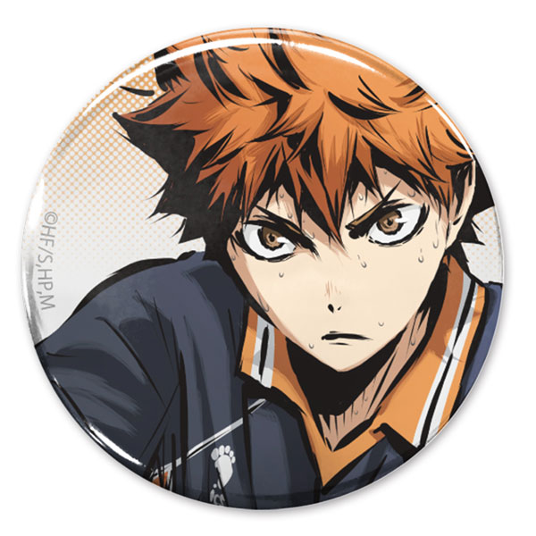 Anime Haikyuu Hinata Shoyo