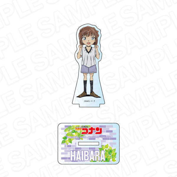 Show by Rock!! Fes A Live Big Acrylic Stand A (Anime Toy) - HobbySearch  Anime Goods Store