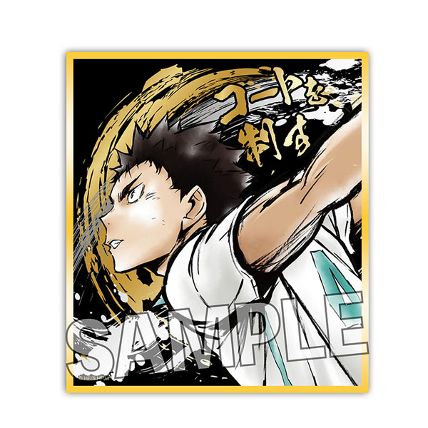 Haikyuu To The Top Shikishi Hajime Iwaizumi Art Board Visual Collection  Vol.4