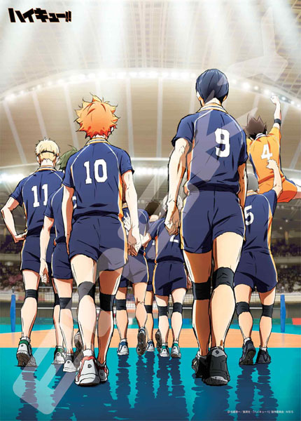 Haikyuu!! - online puzzle