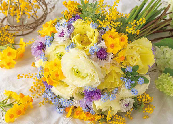 Aﾜﾝ500-313幸せのﾁｱﾌﾙﾌﾞｰｹ