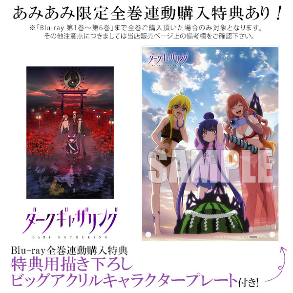 AmiAmi [Character & Hobby Shop]  BD Infinite Stratos 2 Blu-ray