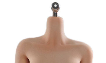 が大特価！ AmiAmi [Character & Hobby Shop] | 1/6 Medium Chest Standard その他