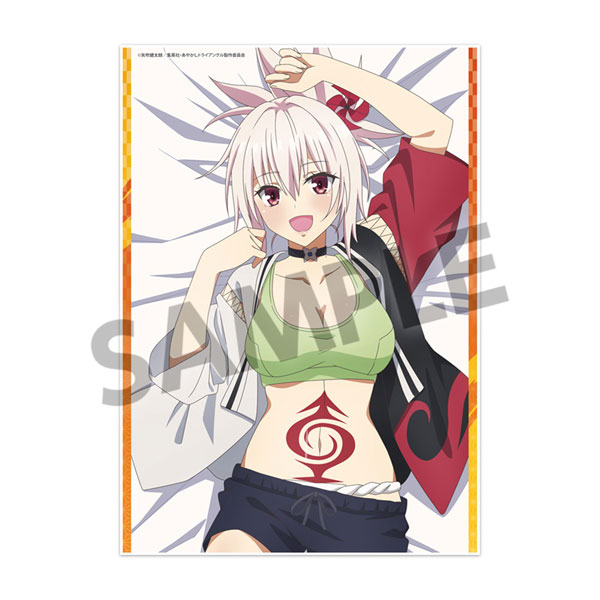 AmiAmi [Character & Hobby Shop] | Ayakashi Triangle Visual Acrylic 