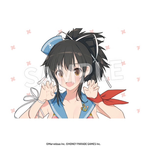 Senran Kagura Shinovi Versus Character Secret File Art Book With Sound CD  Anime