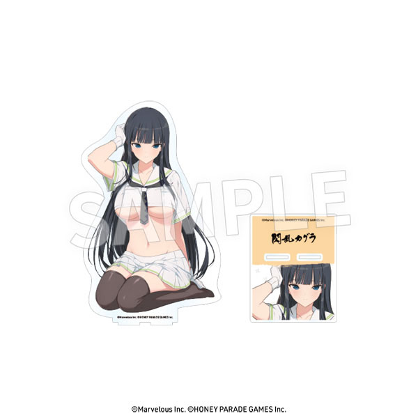 Senran Kagura Shinovi Versus Character Secret File Art Book With Sound CD  Anime