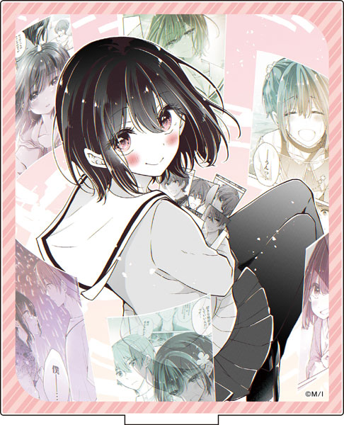 AmiAmi [Character & Hobby Shop]