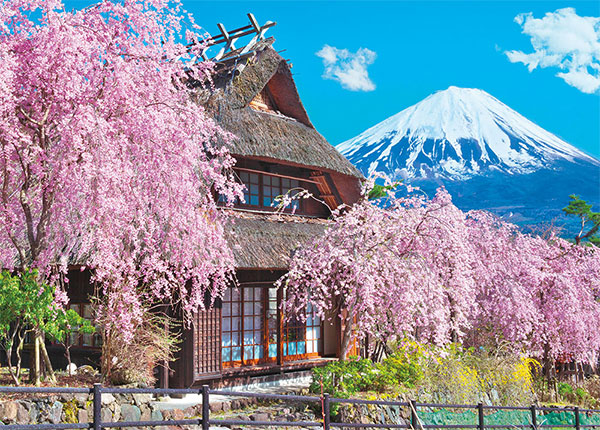 ﾋﾞﾊﾞﾘｰ600-018春満開いやしの里