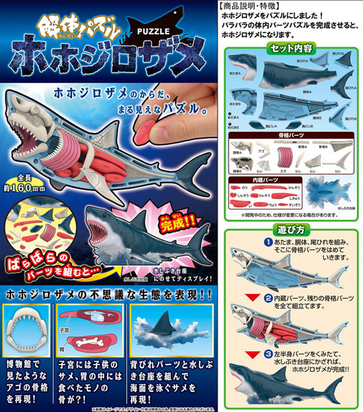 AmiAmi [Character & Hobby Shop]  Dissection Puzzle Great White  Shark(Released)