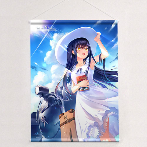 AmiAmi [Character & Hobby Shop] | Summer Pockets REFLECTION BLUE B2 Wall  Scroll (Kamome Kushima / One-piece Dress)(Released)