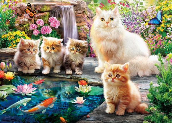 Aﾜﾝ500-318子猫とﾌﾗﾜｰｶﾞｰﾃﾞﾝ