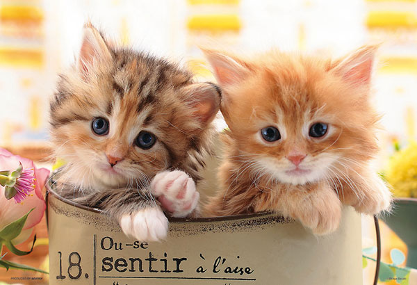 ﾋﾞﾊﾞﾘｰ300-065しあわせにゃんこ