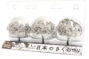 【CPC-L24】都秋さくら 2024 Japan 10Y Coin from Cherry Blossom Mint Set (#3/6 in
