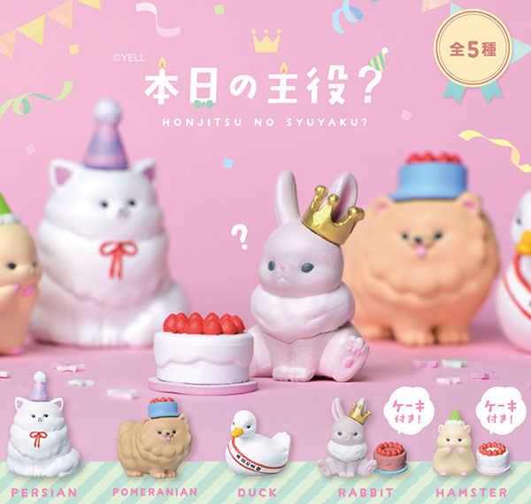 AmiAmi [Character & Hobby Shop] | Star of the Day? 10Pack