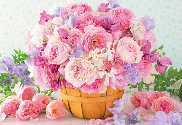 Aﾜﾝ88-109ｼｭｶﾞｰﾋﾟﾝｸ