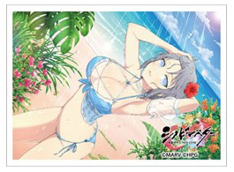 AmiAmi [Character & Hobby Shop] | Shinobi Master Senran Kagura