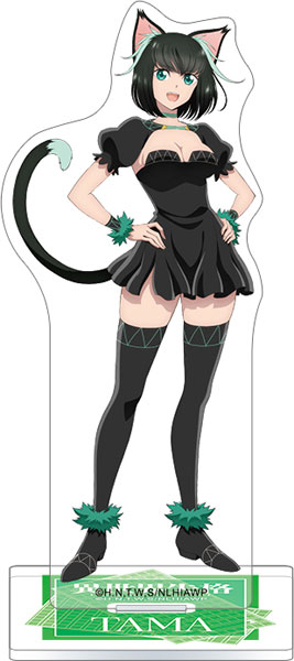 【専用】ｔａｍａ☆彡様 AmiAmi [Character & Hobby Shop] | No Longer Allowed In Another