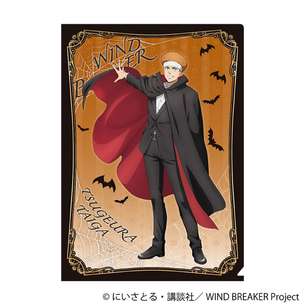 AmiAmi [Character & Hobby Shop] | WIND BREAKER Clear File