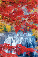 ﾔﾉﾏﾝ10-1470紅葉かかる袋田の滝