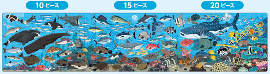 ｱﾎﾟﾛ24-202たのしいうみのなか