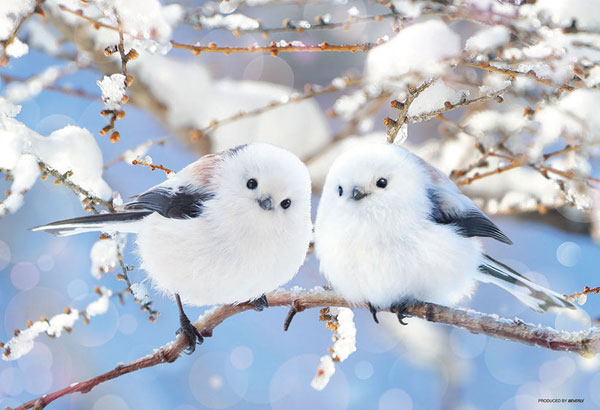 ﾋﾞﾊﾞﾘｰ300-101ふんわりｼﾏｴﾅｶﾞ