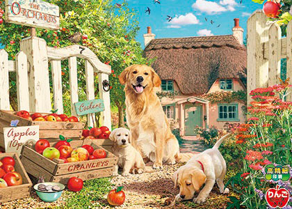 Aﾜﾝ500-325子犬とｱｯﾌﾟﾙｶﾞｰﾃﾞﾝ