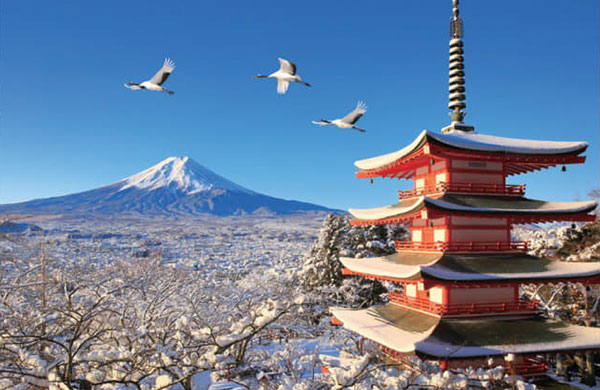 ﾔﾉﾏﾝ10-1481鶴舞う冬景色の富士山