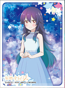 AmiAmi [Character & Hobby Shop]