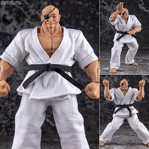 AmiAmi [Character & Hobby Shop] | 