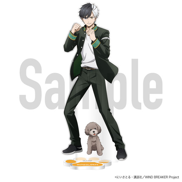 AmiAmi [Character & Hobby Shop] | TV Anime 