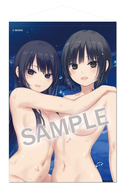 Brendream Coffee Kizoku B2 Wall Scroll Secret Island -starry sky- รูปภาพ 1