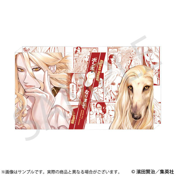 AmiAmi [Character & Hobby Shop]