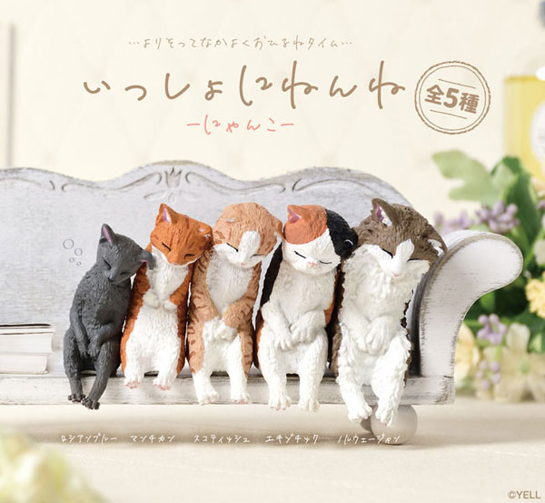 いっしょにねんね にゃんこ