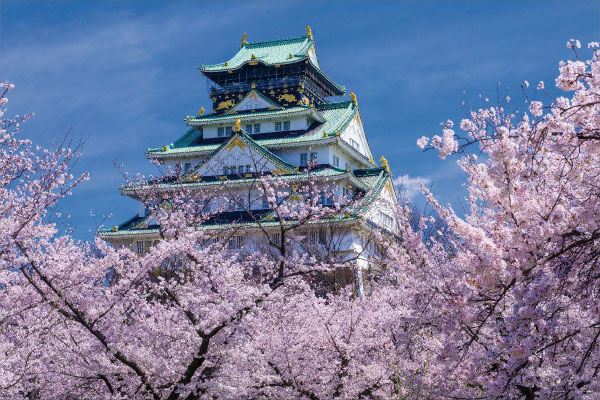ﾔﾉﾏﾝ10-1482花盛りの大阪城天守閣