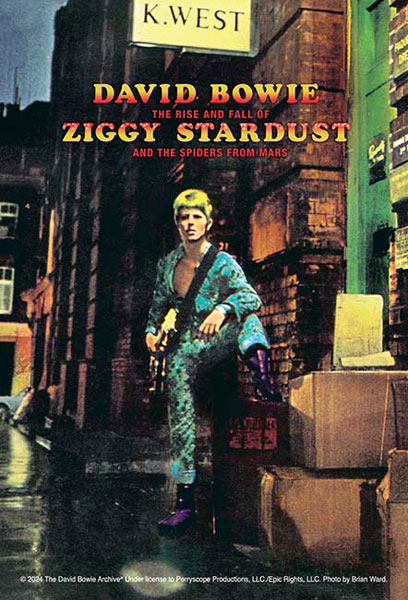 Aﾜﾝ120-017ZIGGY STARDUST