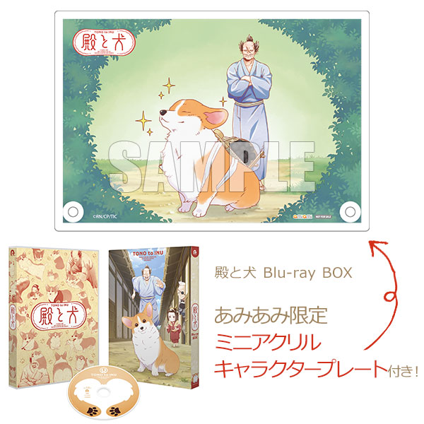 AmiAmi [Character & Hobby Shop] | [AmiAmi Exclusive Bonus] BD Tono 