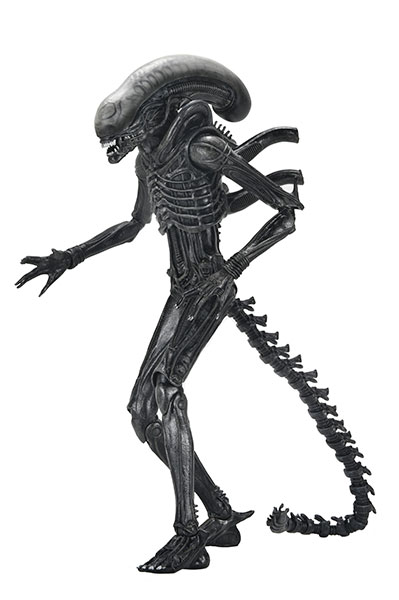 AmiAmi [Character & Hobby Shop]