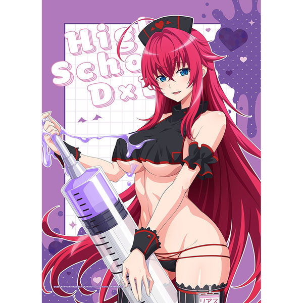 Curtain Damashii High School D x D HERO New Illustration B2 Wall Scroll (Rias Gremory / Black Nurse) Double Suede