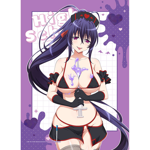 Curtain Damashii High School D x D HERO New Illustration B2 Wall Scroll (Akeno Himejima / Black Nurse) Double Suede