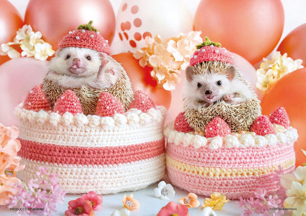 ﾋﾞﾊﾞﾘｰ108-209ﾊﾘﾈｽﾞﾐのいちごﾊﾟｰﾃｨ