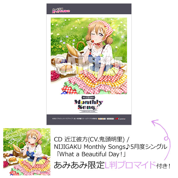 AmiAmi [Character & Hobby Shop]