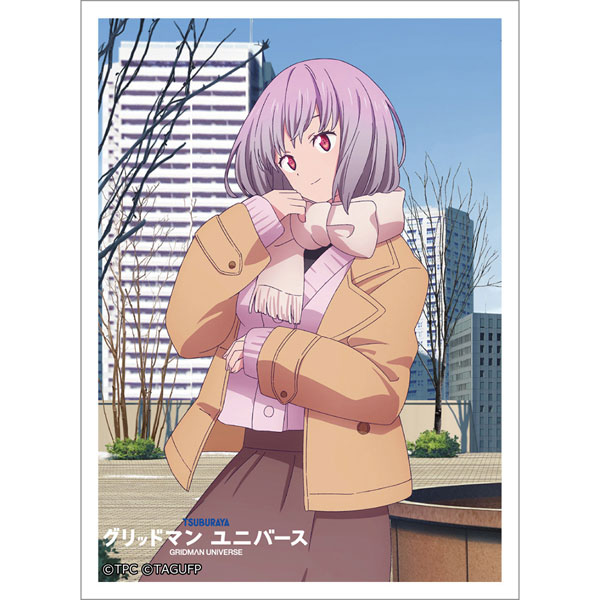 AmiAmi [Character & Hobby Shop] | [GRIDMAN UNIVERSE] Sleeve