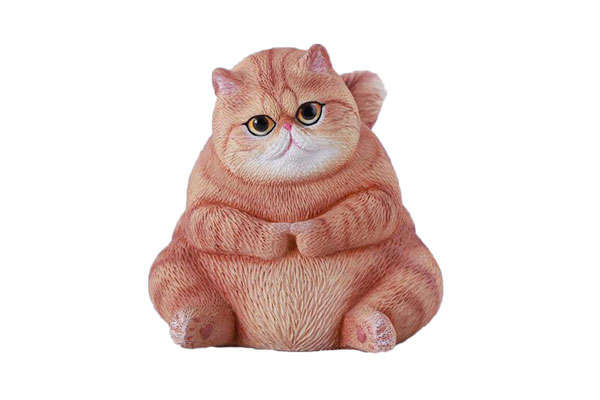 わんちゃん、ねこちゃん入舎情報!!① | かねだい八千代店の
