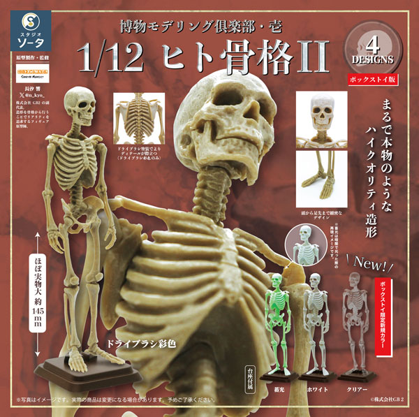 AmiAmi [Character & Hobby Shop]