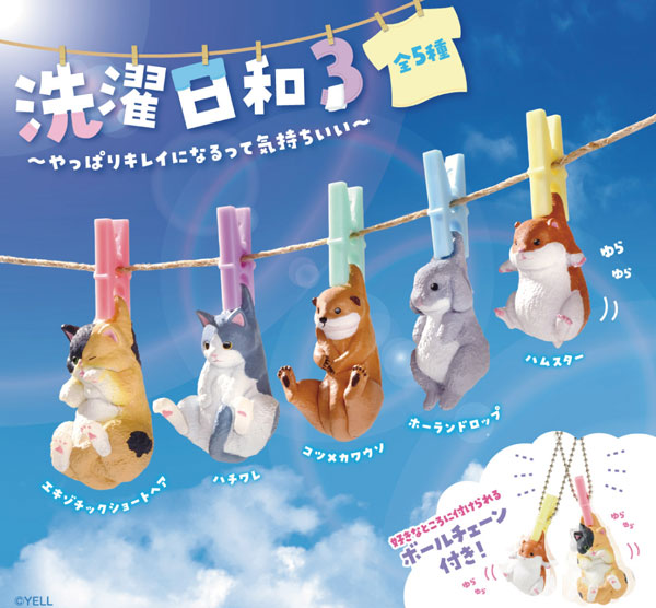 洗濯日和3