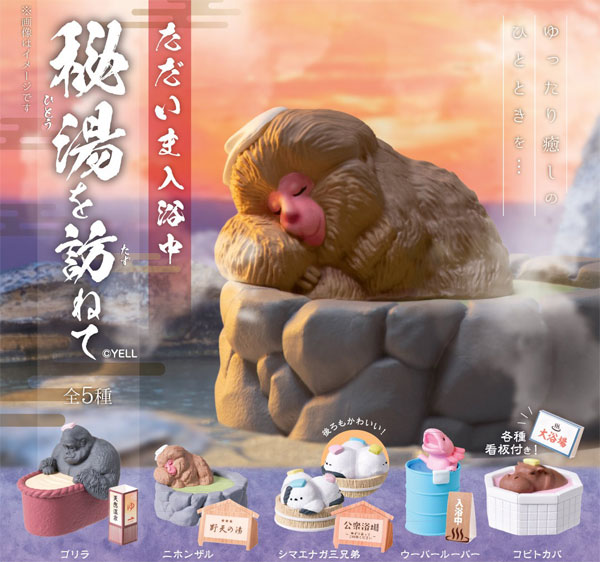 ただいま入浴中 ～秘湯を訪ねて～