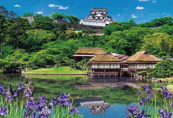 ﾋﾞﾊﾞﾘｰ300-155菖蒲香る玄宮園