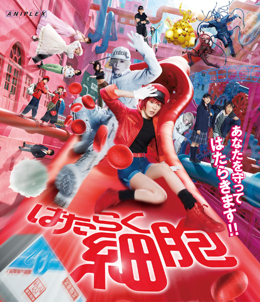 AmiAmi [Character & Hobby Shop]