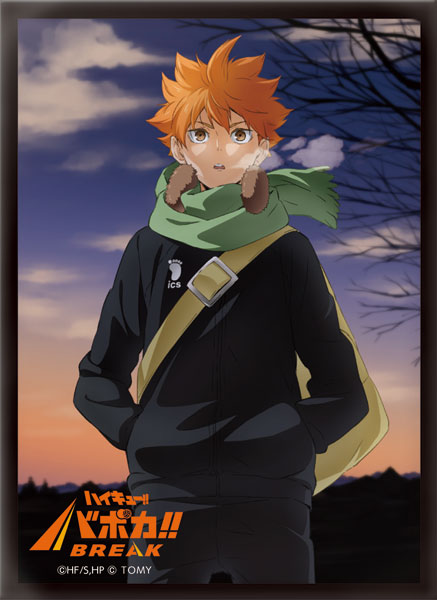 ﾊｲｷｭｰ!! ﾊﾞﾎﾞｶ!! BREAK DXｶｰﾄﾞｽﾘｰﾌﾞ Vol.1｢日向 翔陽｣
